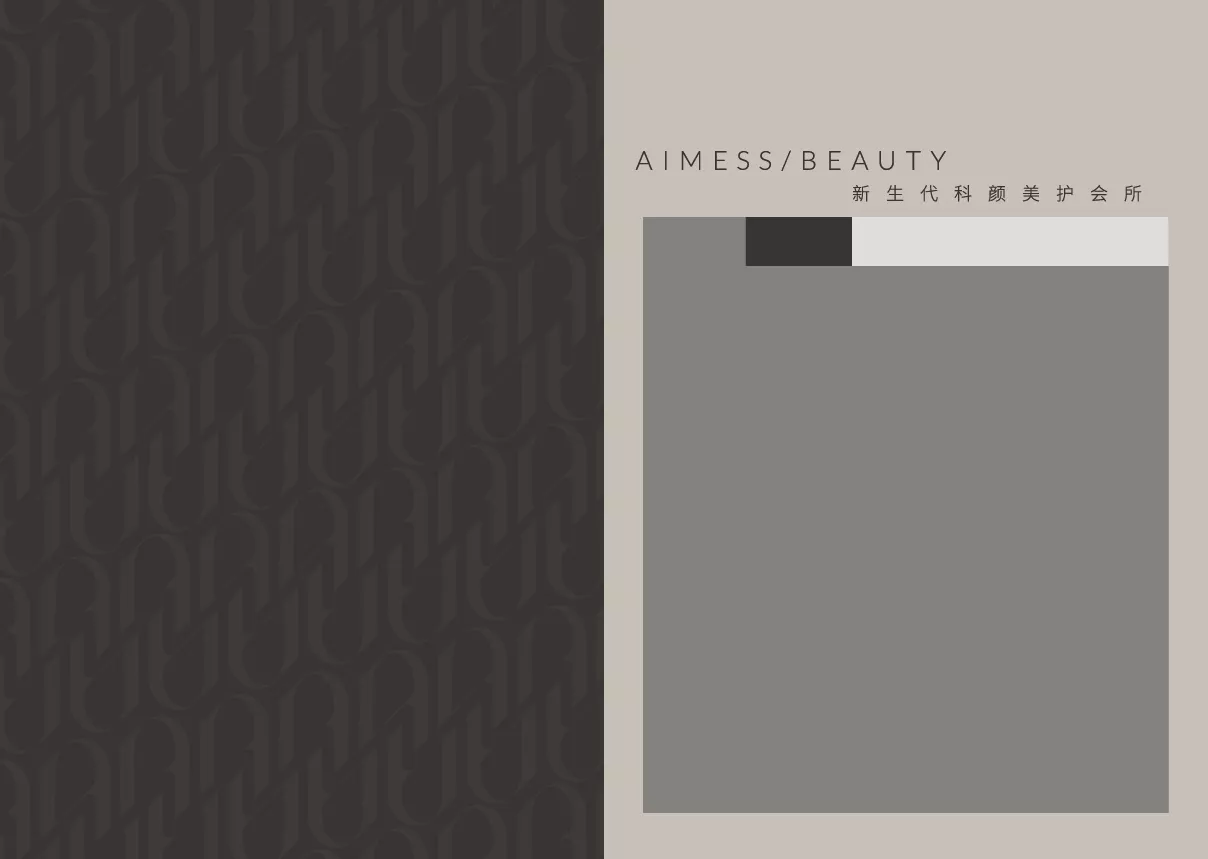 aimess 品牌手冊(cè) 轉(zhuǎn)曲-02.jpg